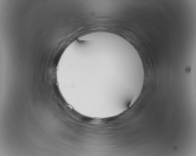 X0000113210425200910221107