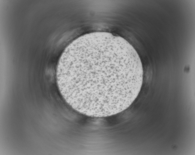 X0000113210427200910221107