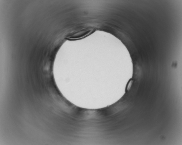 X0000113210428200910221107