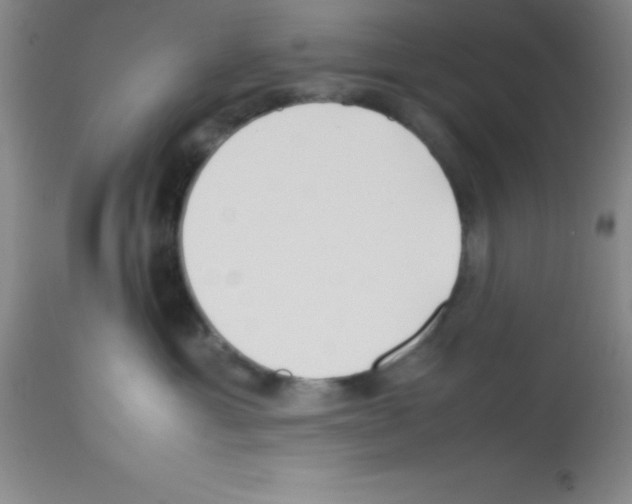 X0000113210429200910221107