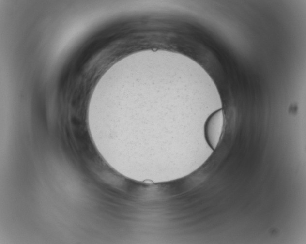 X0000113210430200910221107