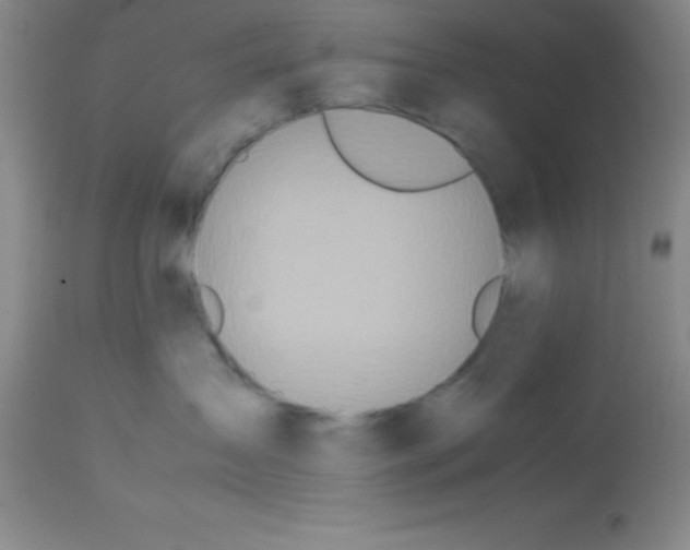 X0000113210431200910221107