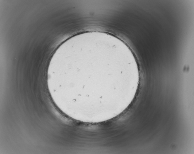 X0000113210433200910221106