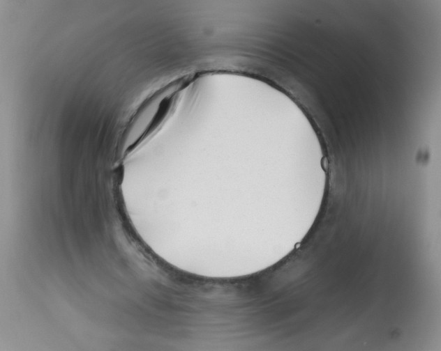 X0000113210434200910221106