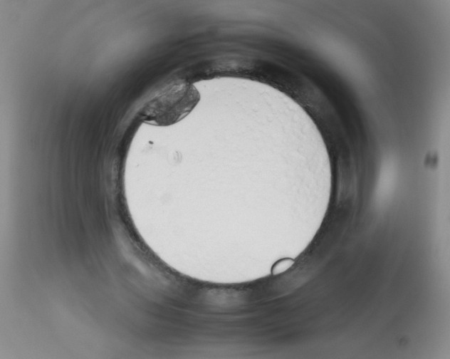 X0000113210435200910221106