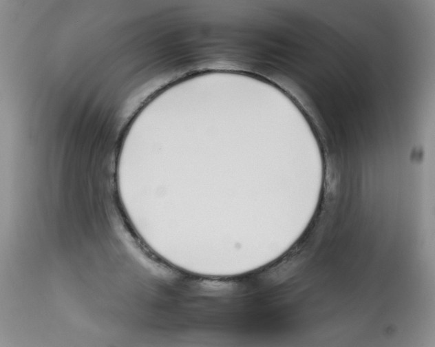 X0000113210437200910221106