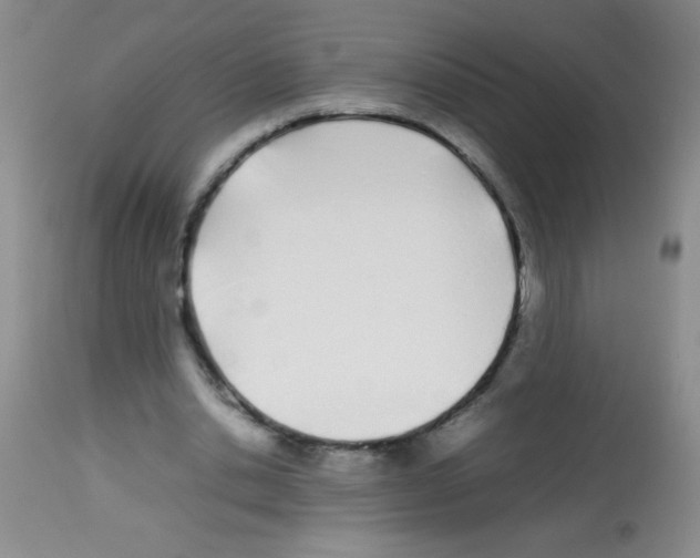 X0000113210438200910221106