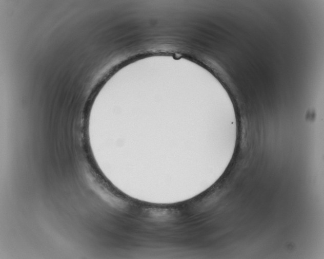 X0000113210439200910221106