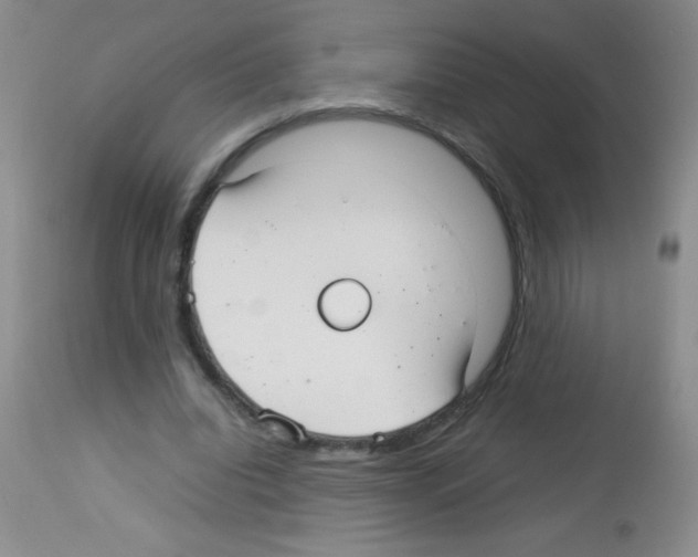 X0000113210440200910221106