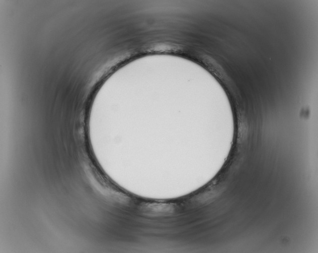 X0000113210443200910221106