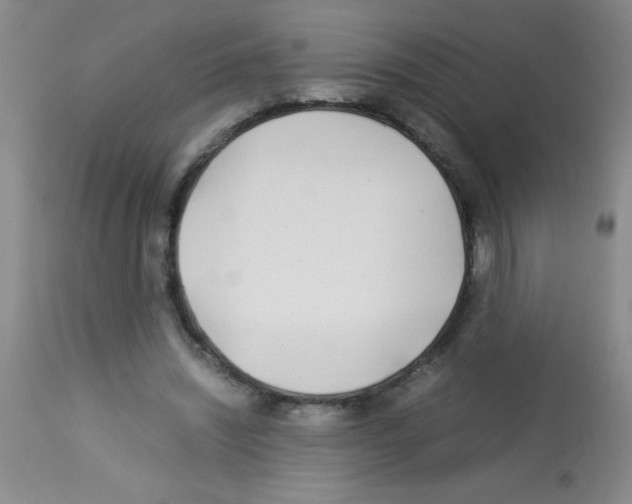 X0000113210444200910221106