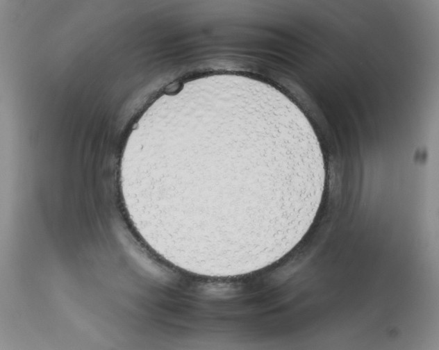 X0000113210445200910221106