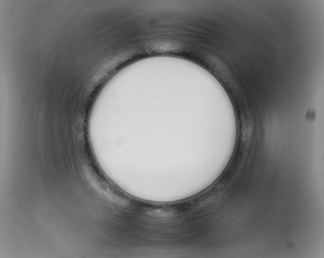 X0000113210447200910221106