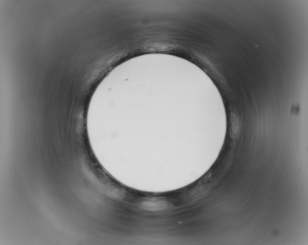 X0000113210451200910221106