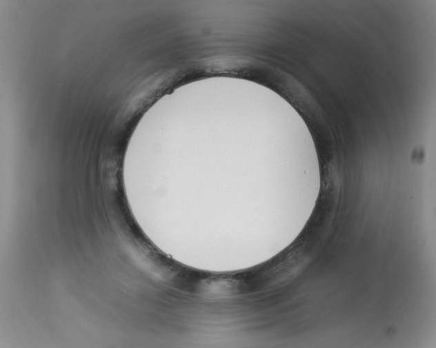 X0000113210452200910221106