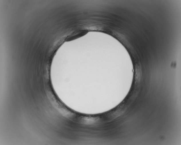 X0000113210453200910221106