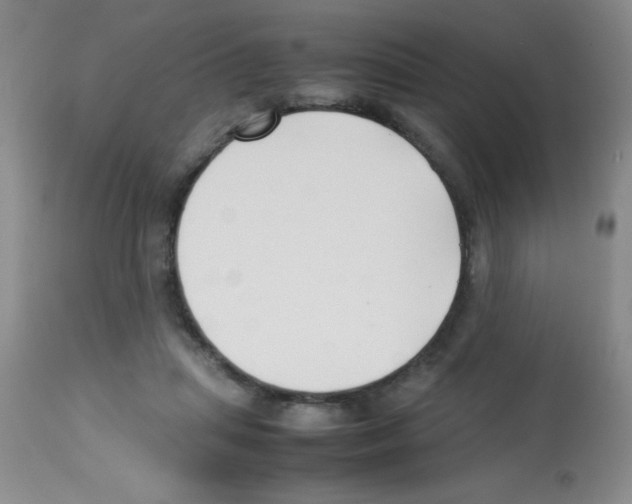 X0000113210455200910221106