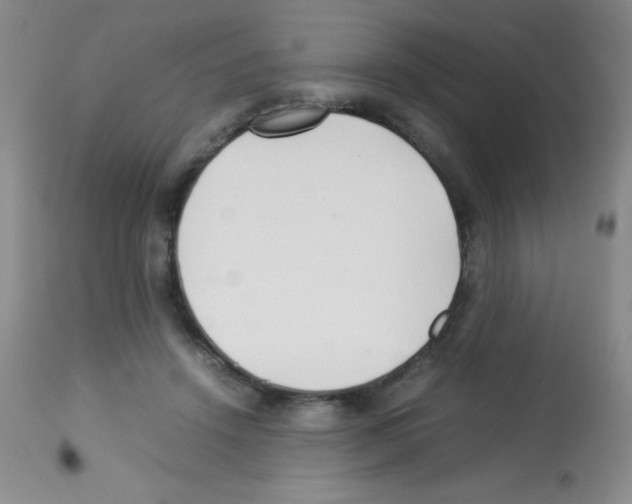 X0000113210456200910221106