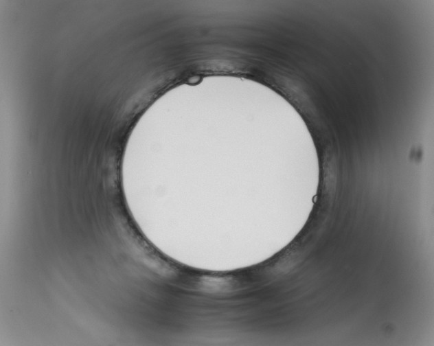 X0000113210457200910221106