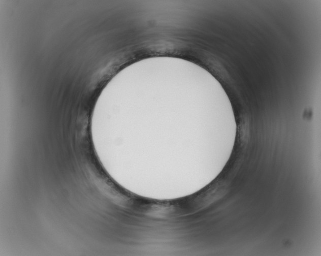 X0000113210458200910221106