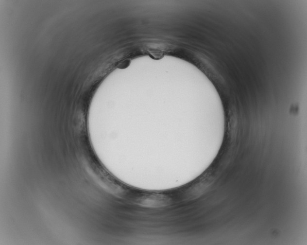 X0000113210459200910221106