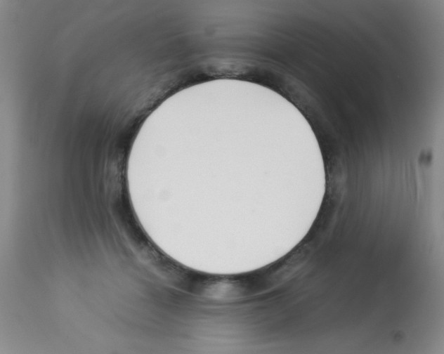 X0000113210460200910221106