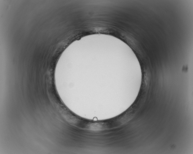 X0000113210461200910221106