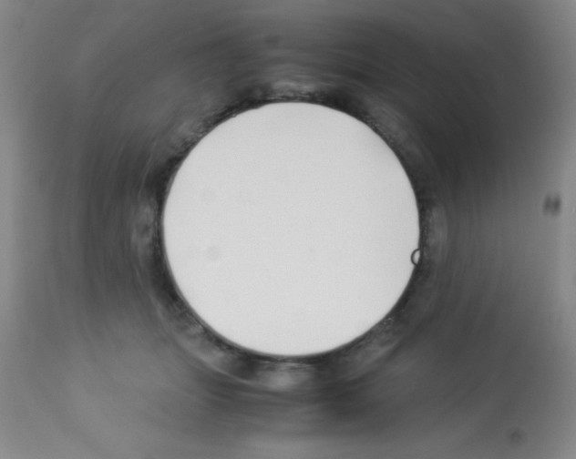 X0000113210463200910221106