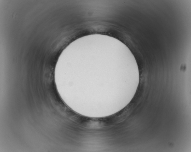 X0000113210464200910221106