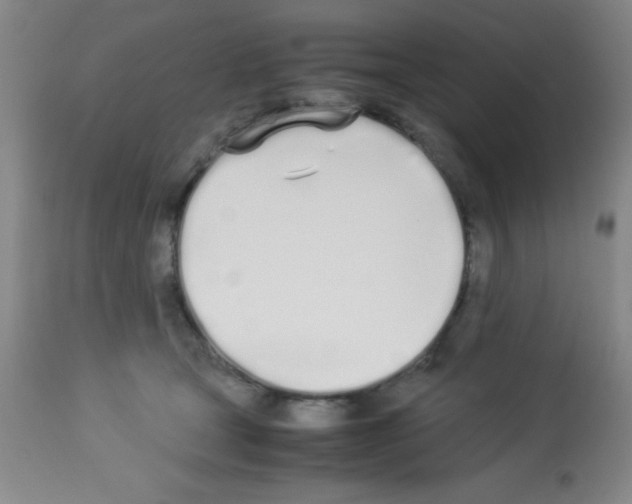 X0000113210465200910221106