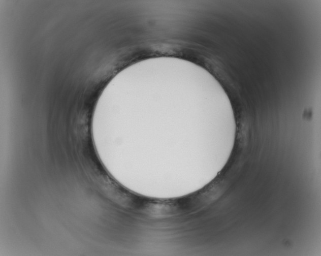 X0000113210466200910221106