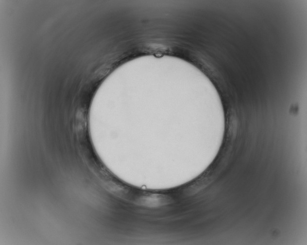 X0000113210467200910221106