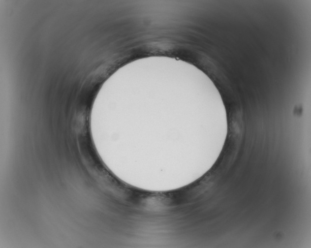 X0000113210468200910221106