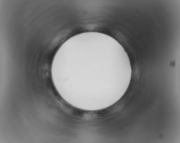 X0000113210470200910221107