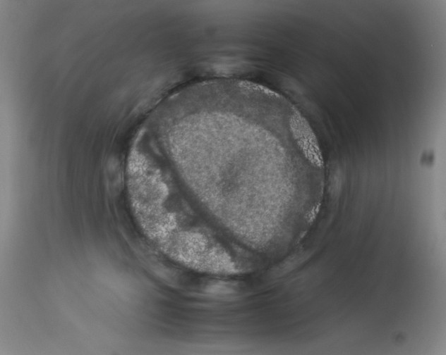 X0000113210471200910221107