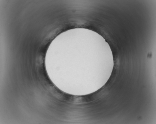 X0000113210472200910221107