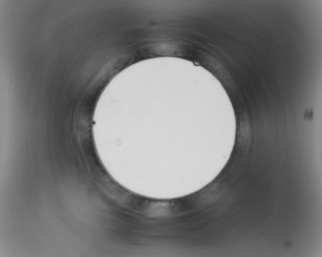 X0000113210473200910221107