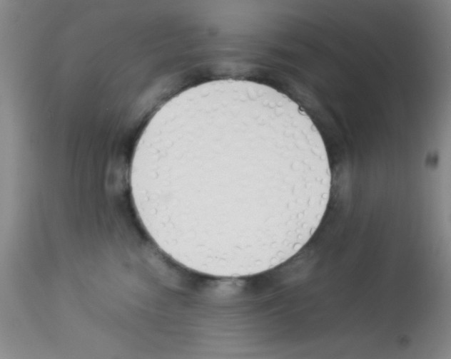 X0000113210474200910221107