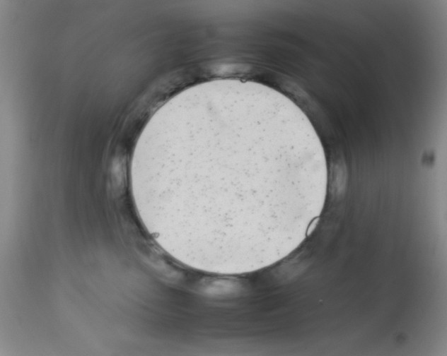 X0000113210475200910221107