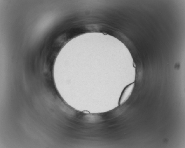 X0000113210477200910221107