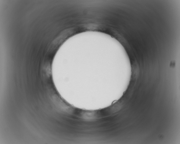 X0000113210479200910221107