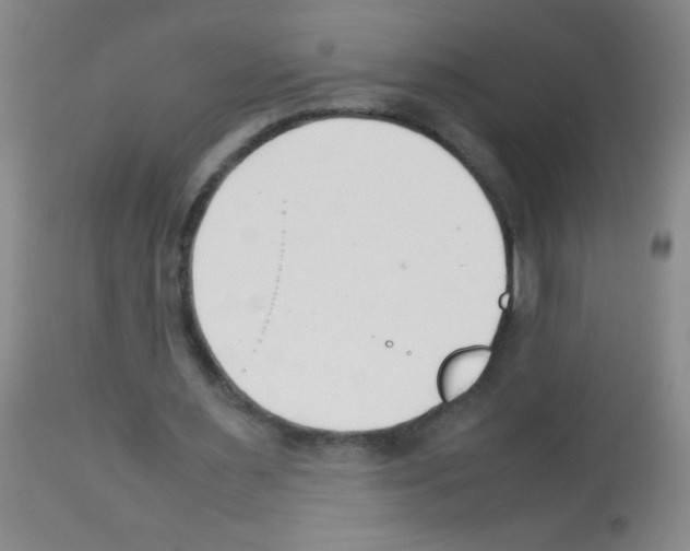 X0000113210483200910221106