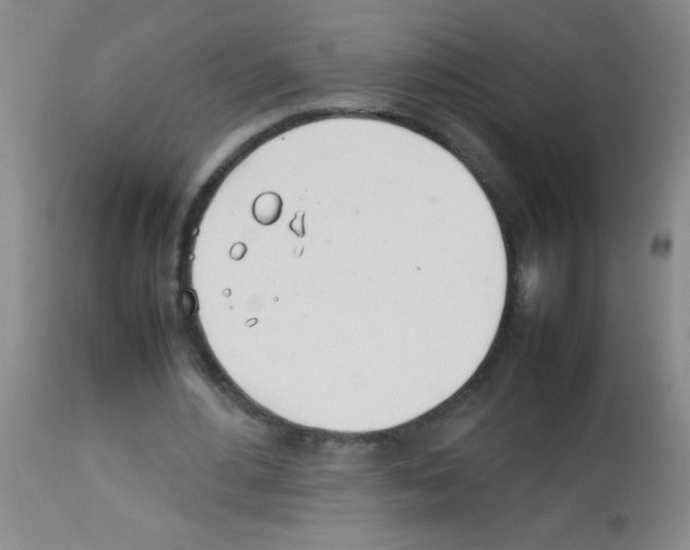 X0000113210484200910221106