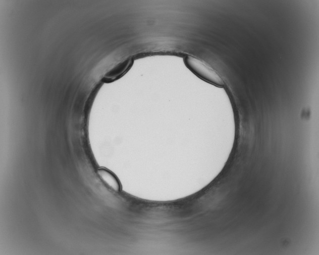 X0000113210485200910221106