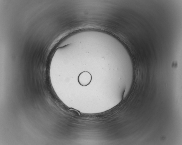 X0000113210488200910221106