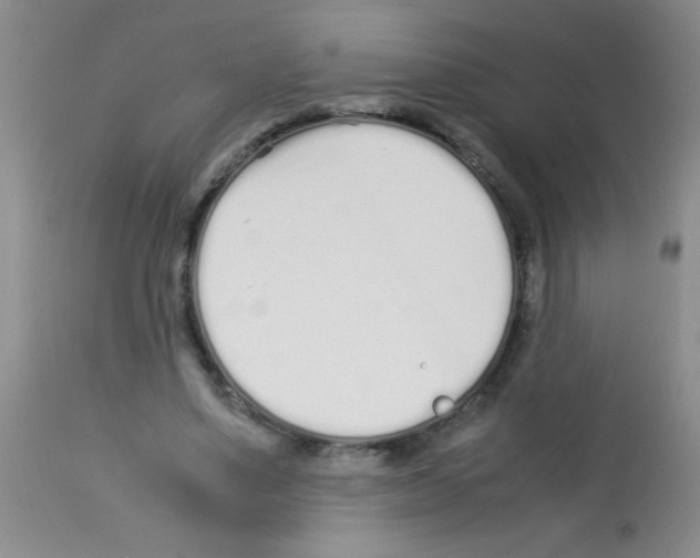 X0000113210491200910221106