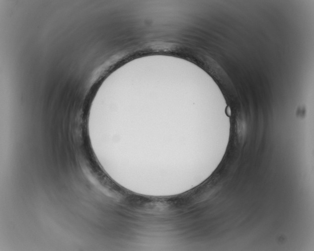 X0000113210492200910221106