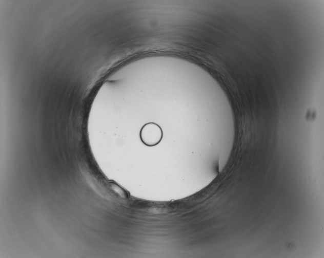 X0000113210496200910221106