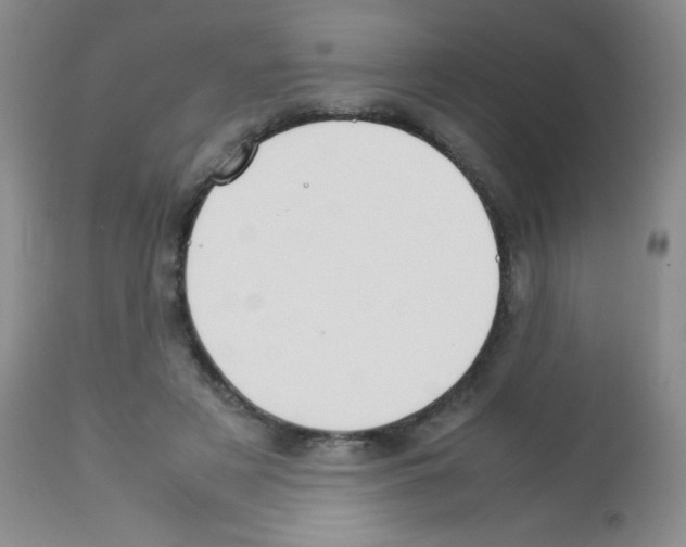 X0000113210497200910221106