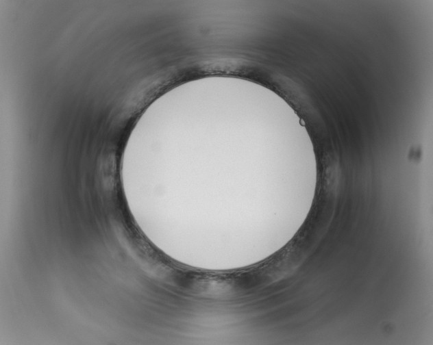 X0000113210498200910221106